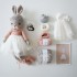 Coffret : Swann, jolie ballerine